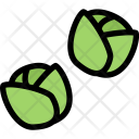 پیش‌نمایش فایل brussels-sprouts-vegetables-fruit-food-supermarket-1 از پک غذا - رنگی