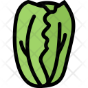 پیش‌نمایش فایل cabbage-vegetables-fruit-food-supermarket-2 از پک غذا - رنگی