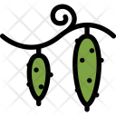 پیش‌نمایش فایل cucumbers-vegetables-fruit-food-supermarket-1 از پک غذا - رنگی