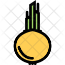 پیش‌نمایش فایل onion-vegetables-fruit-food-supermarket-1 از پک غذا - رنگی