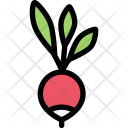 پیش‌نمایش فایل radish-vegetables-fruit-food-supermarket-1 از پک غذا - رنگی