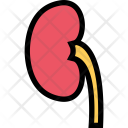 پیش‌نمایش فایل kidney-clinic-medicine-doctor-treatment-1 از پک پزشکی - رنگی