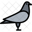 پیش‌نمایش فایل dove-pet-animal-vet-store-zoo-1 از پک حیوانات خانگی - رنگی