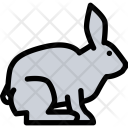 پیش‌نمایش فایل rabbit-pet-animal-vet-store-zoo-1 از پک حیوانات خانگی - رنگی