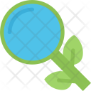 پیش‌نمایش فایل organic-search-analysis-business-data-marketing-seo-startup از پک SEO – تخت