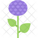 پیش‌نمایش فایل aster-ecology-nature-forest-plant-protection-agriculture از پک محیط زیست - فلت