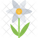 پیش‌نمایش فایل camomile-ecology-nature-forest-plant-protection-agriculture از پک محیط زیست - فلت