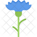 پیش‌نمایش فایل cornflower-ecology-nature-forest-plant-protection-agriculture از پک محیط زیست - فلت