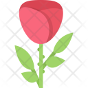 پیش‌نمایش فایل rose-ecology-nature-forest-plant-protection-agriculture از پک محیط زیست - فلت