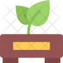 پیش‌نمایش فایل seedling-ecology-nature-forest-plant-protection-agriculture از پک محیط زیست - فلت