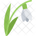 پیش‌نمایش فایل snowdrop-ecology-nature-forest-plant-protection-agriculture از پک محیط زیست - فلت