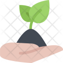 پیش‌نمایش فایل sprout-hand-ecology-nature-forest-plant-protection-agriculture از پک محیط زیست - فلت