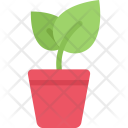 پیش‌نمایش فایل sprout-pot-ecology-nature-forest-plant-protection-agriculture از پک محیط زیست - فلت