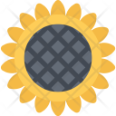 پیش‌نمایش فایل sunflower-ecology-nature-forest-plant-protection-agriculture از پک محیط زیست - فلت
