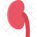 پیش‌نمایش فایل kidney-medicine-dentist-medical-treatment-clinic-hospital از پک پزشکی - فلت