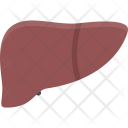 پیش‌نمایش فایل liver-medicine-dentist-medical-treatment-clinic-hospital از پک پزشکی - فلت