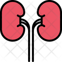 پیش‌نمایش فایل kidney-5872640 از پک پزشکی و دارو