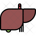 پیش‌نمایش فایل liver-gallbladder-5872643 از پک پزشکی و دارو
