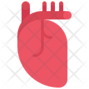پیش‌نمایش فایل heart-5872899 از پک پزشکی و دارو