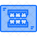 پیش‌نمایش فایل tooth-report-5873211 از پک دندانپزشکی