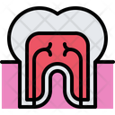 پیش‌نمایش فایل tooth-nerve-5873132 از پک دندانپزشکی