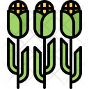 پیش‌نمایش فایل corn-field-5876769 از پک مزرعه