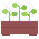 پیش‌نمایش فایل seedling-box-5877011 از پک مزرعه
