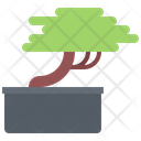 پیش‌نمایش فایل bonsai-plant-5906234 از پک گل‌ها