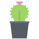 پیش‌نمایش فایل cactus-5906239 از پک گل‌ها