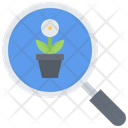 پیش‌نمایش فایل find-flower-plant-5906256 از پک گل‌ها