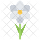پیش‌نمایش فایل flora-5906259 از پک گل‌ها