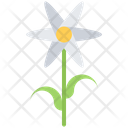 پیش‌نمایش فایل flower-5906213 از پک گل‌ها