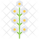 پیش‌نمایش فایل flower-5906215 از پک گل‌ها