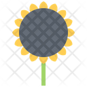 پیش‌نمایش فایل flower-5906216 از پک گل‌ها