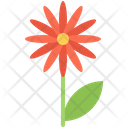 پیش‌نمایش فایل flower-5906222 از پک گل‌ها