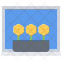 پیش‌نمایش فایل flower-plants-5906229 از پک گل‌ها