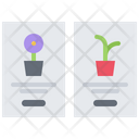 پیش‌نمایش فایل purchase-plant-5906243 از پک گل‌ها