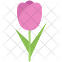 پیش‌نمایش فایل rose-5906261 از پک گل‌ها