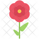پیش‌نمایش فایل tulip-5906262 از پک گل‌ها