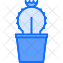 پیش‌نمایش فایل cactus-5906191 از پک گل‌ها
