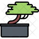 پیش‌نمایش فایل bonsai-plant-5906135 از پک گل‌ها