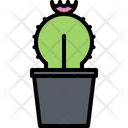 پیش‌نمایش فایل cactus-5906140 از پک گل‌ها
