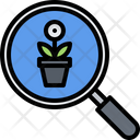 پیش‌نمایش فایل find-flower-plant-5906157 از پک گل‌ها