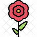 پیش‌نمایش فایل flower-5906113 از پک گل‌ها