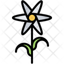 پیش‌نمایش فایل flower-5906114 از پک گل‌ها