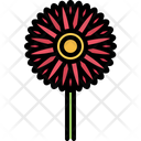 پیش‌نمایش فایل flower-5906127 از پک گل‌ها