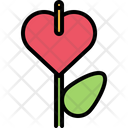 پیش‌نمایش فایل flower-5906128 از پک گل‌ها