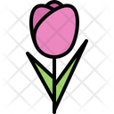 پیش‌نمایش فایل tulip-5906162 از پک گل‌ها