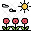 پیش‌نمایش فایل blossom-5906348 از پک طبیعت