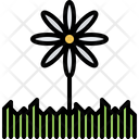 پیش‌نمایش فایل flower-5906319 از پک طبیعت